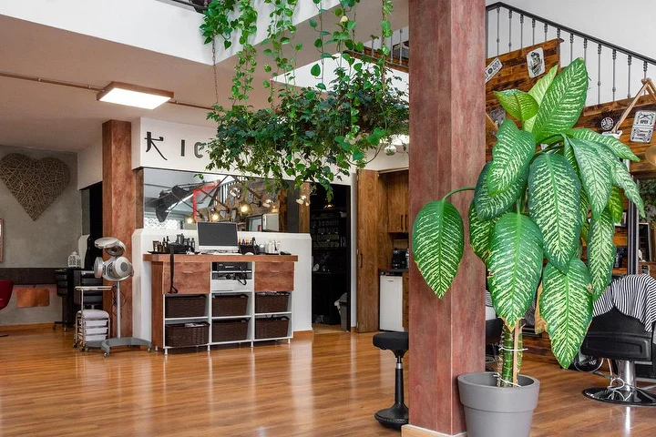 Servicios de peluquería en JuandiDíaz Arrecife - Cortes y coloración